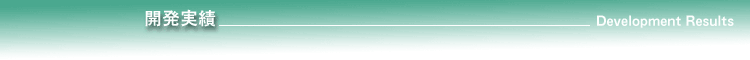 アプリケーション開発実績