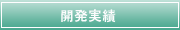 開発実績